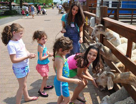 Animal Farm