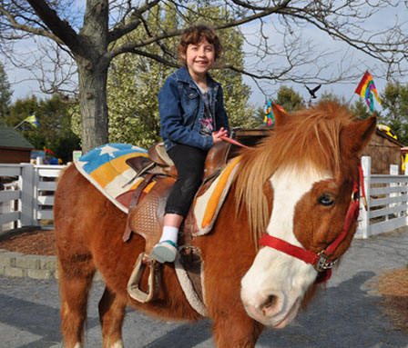Pony Rides
