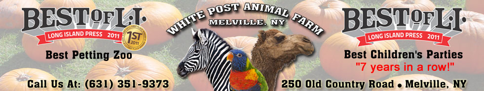 The Best Long Island Pumpkin Picking in Melville, NY
